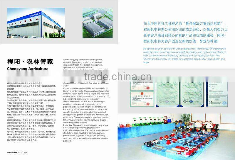 Mini Triplex Plunger Pump Hydraulic CY-30