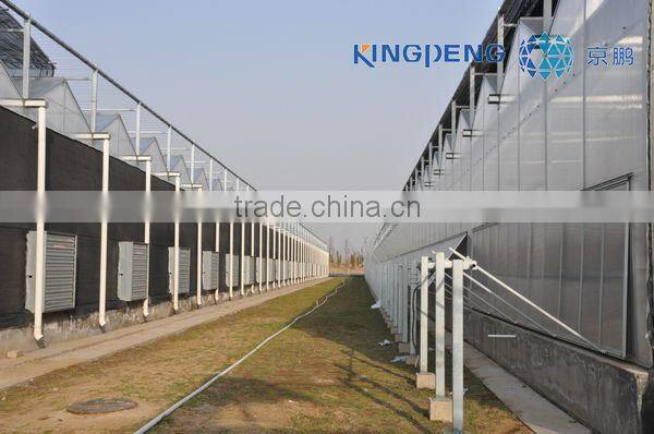 Poly Carbonate Greenhouses