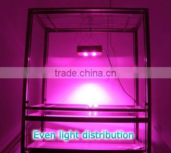 2016 new product 120w led grow light with full spectrum for folwers and fruiting