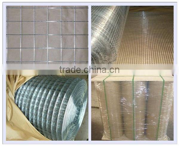 high quality electro galvanized welded wire mesh(ISO9001) from china anping sanxing factory(professional manufacturer)