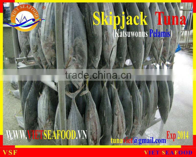 FROZEN W/R SKIPJACK TUNA