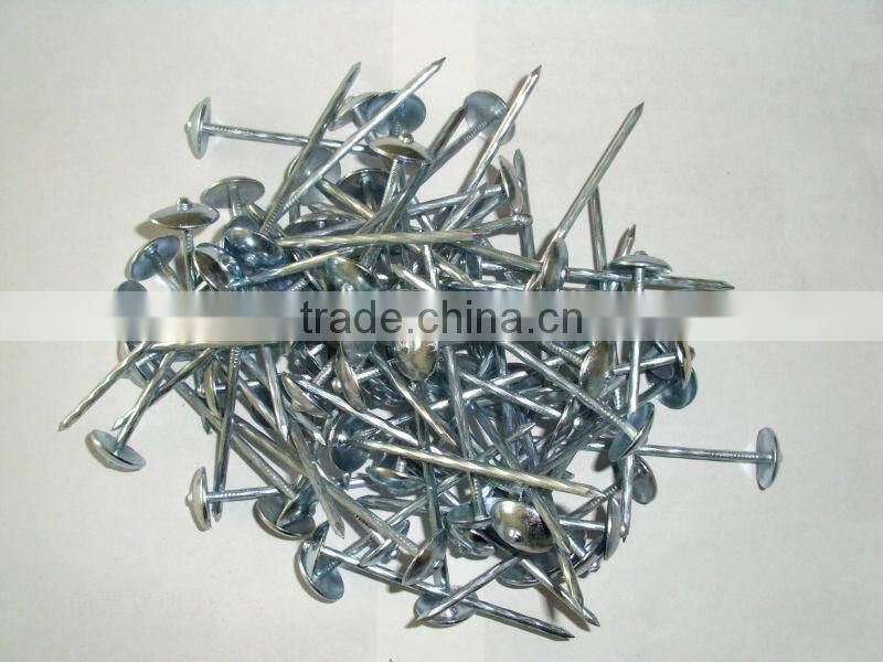 galvanized roofing nails price
