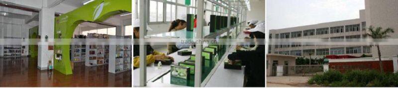 Scented Sola Flower Aroma Diffuser / Room Flower Liquid Diffuser