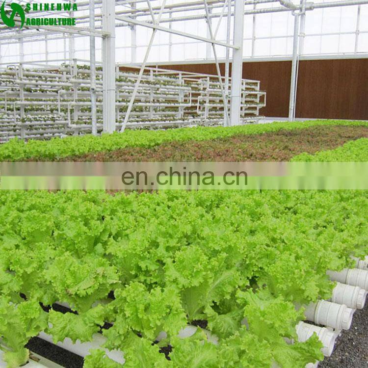2017 Commercial Good Quality Tube Hydroponic For Sale