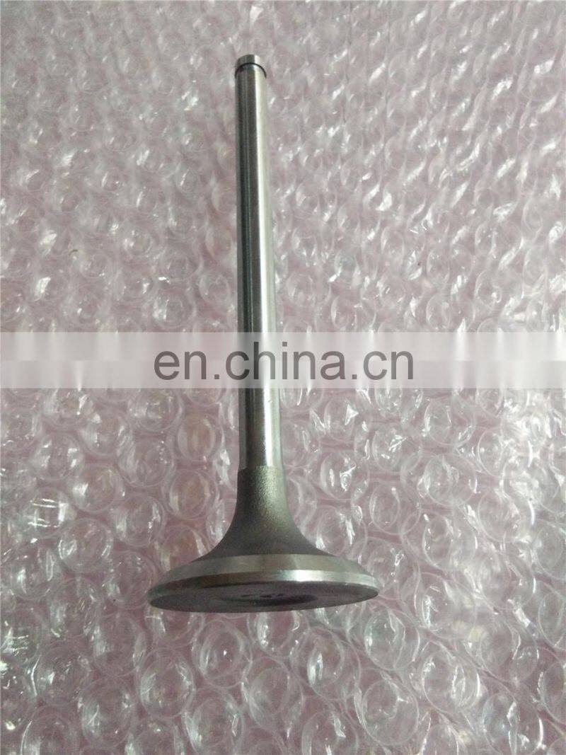 B3.3 Engine Parts Intake Valve 6207414110 6207414130