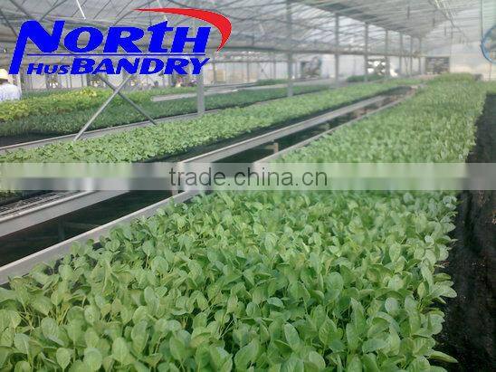 Commercial Greenhouse for agriculture