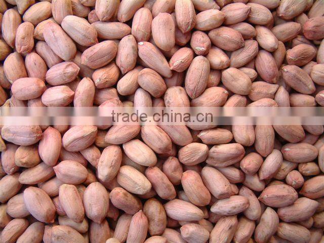 Raw peanuts 28/32 from china