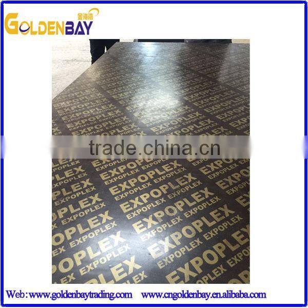 Poplar core film faced shuttering plywood