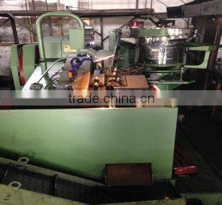 male and female rivets socket flat head SS304