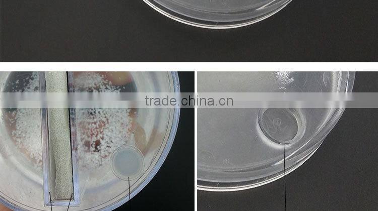 Acrylic Photo Frame Snow Globe