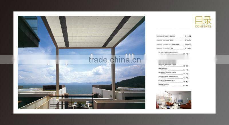 hot-sale china cheap ceiling panel from china