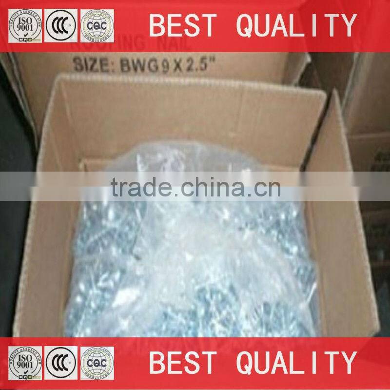 export africa Ghana Umbrella roofing nails