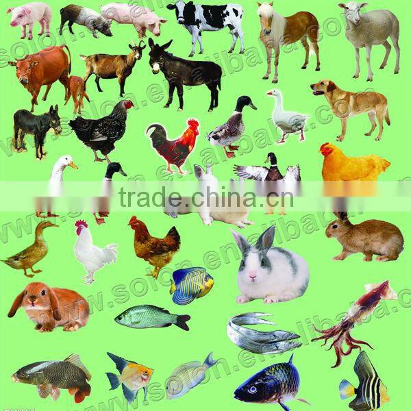 Stable Performance Low Price poultry feed milling machine