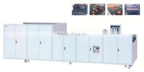 Full automatic ZHDBJ-670 cup packing machine