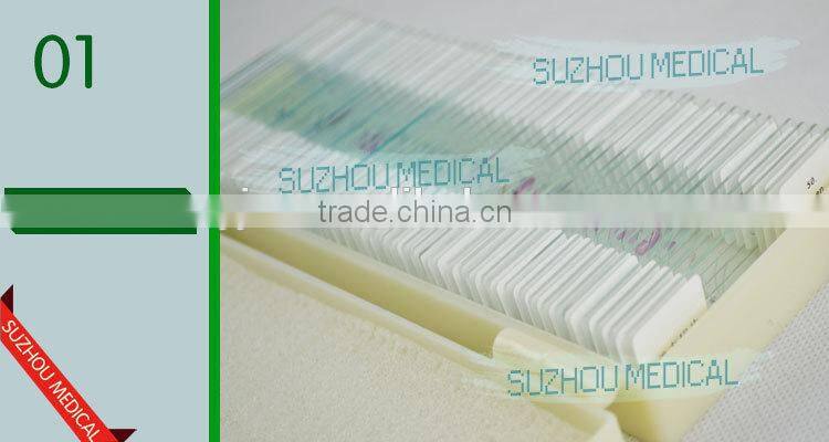 50pieces set primary school study zoology and botany mixed biology slides