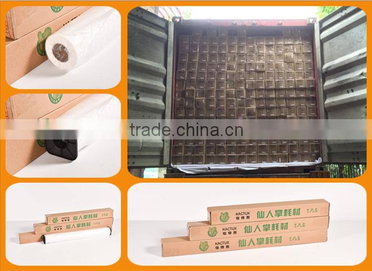 Wholesale Double sided matte uncoated pp paper for outdoor advertising, Outdoor pp paper