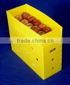 Plastic corrugated Boxes