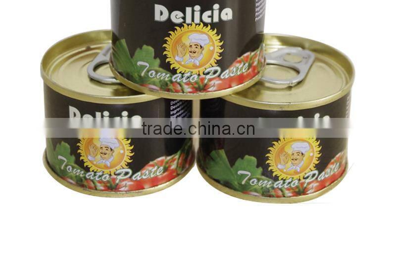 Competitive tomato paste price for 70gX100tins