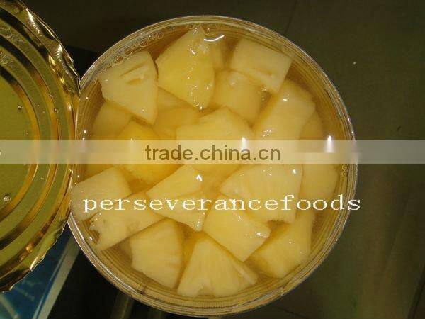 Hot Sale Canned Vietnam Pineapple