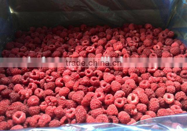 Frozen Raspberry