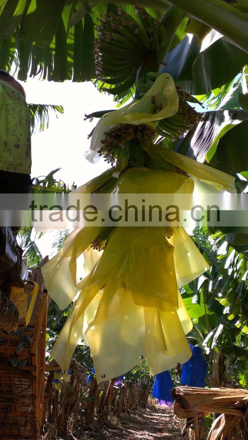 Bolsa de Proteccion Para el Banano