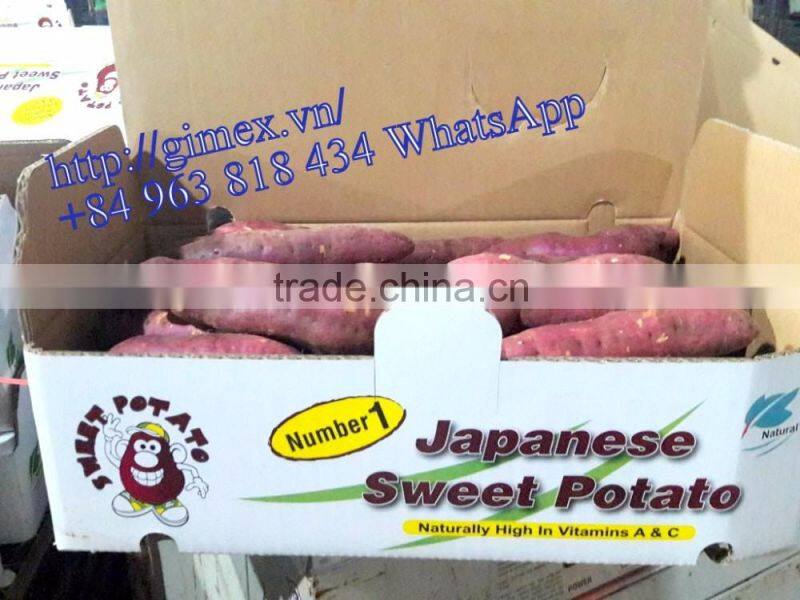 JAPAN YELLOW SWEET POTATO