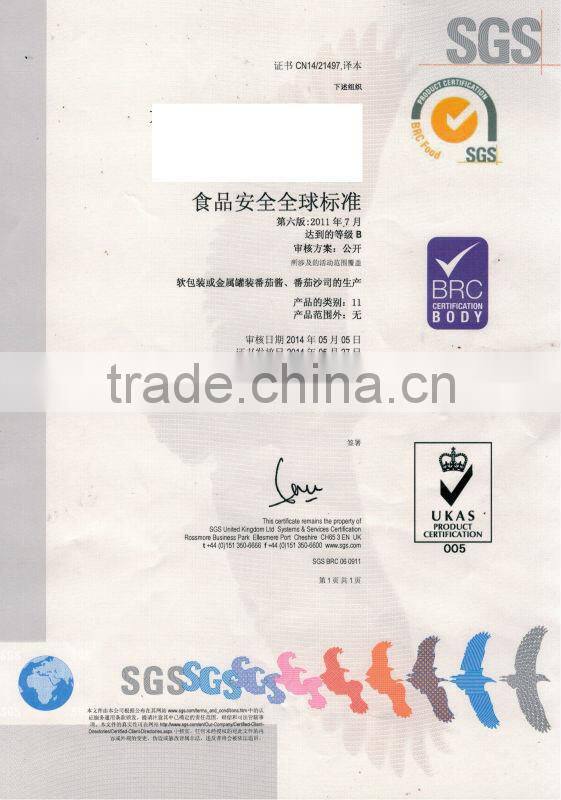 oem brand sweet concentrated super tomato paste tomato sauce