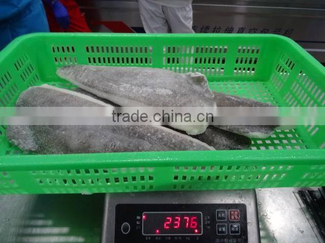 Wholesale Frozen Greenland Halibut Fish Fillet For Sale