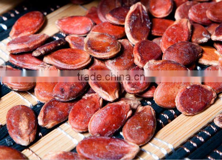 China best price dried watermelon seeds