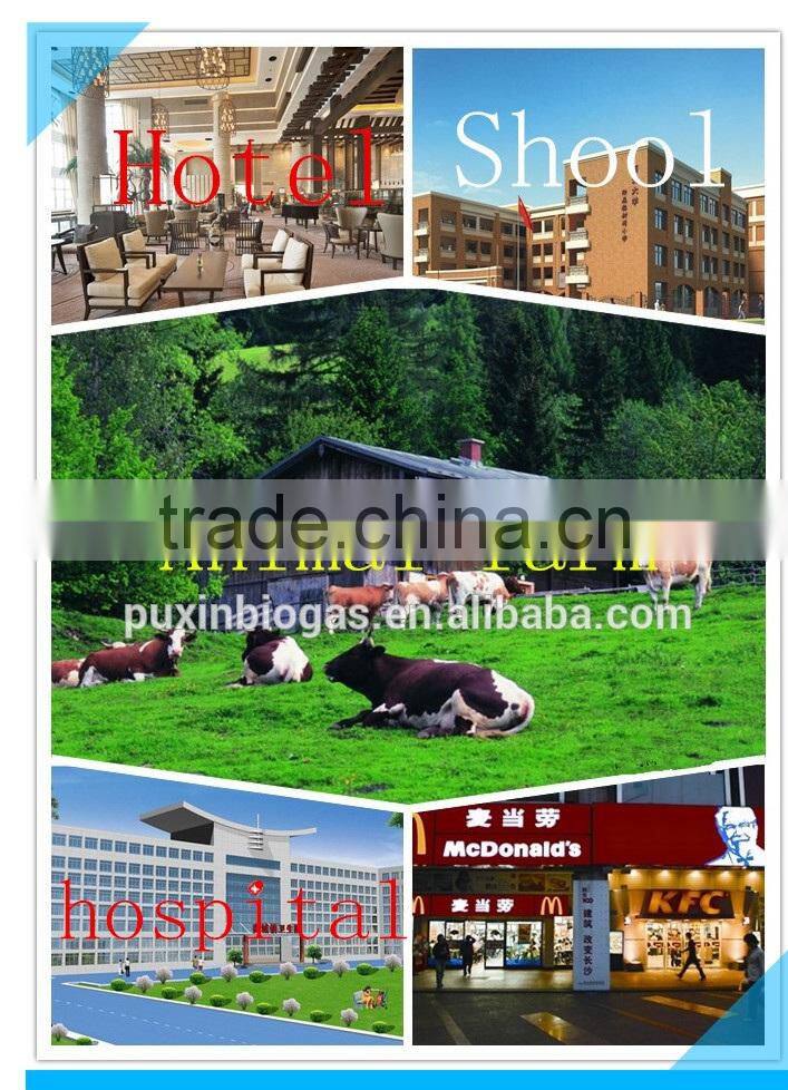 small biogas digester waste water disposal system