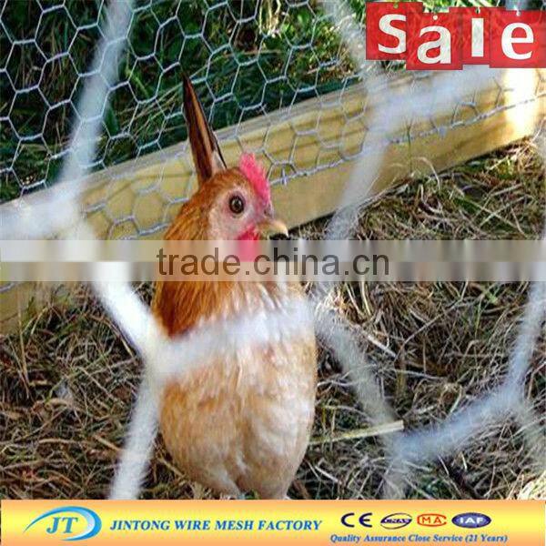 chicken wire cage rock wall/ PVC coated chicken wire mesh (ISO9001 Manufacturer )
