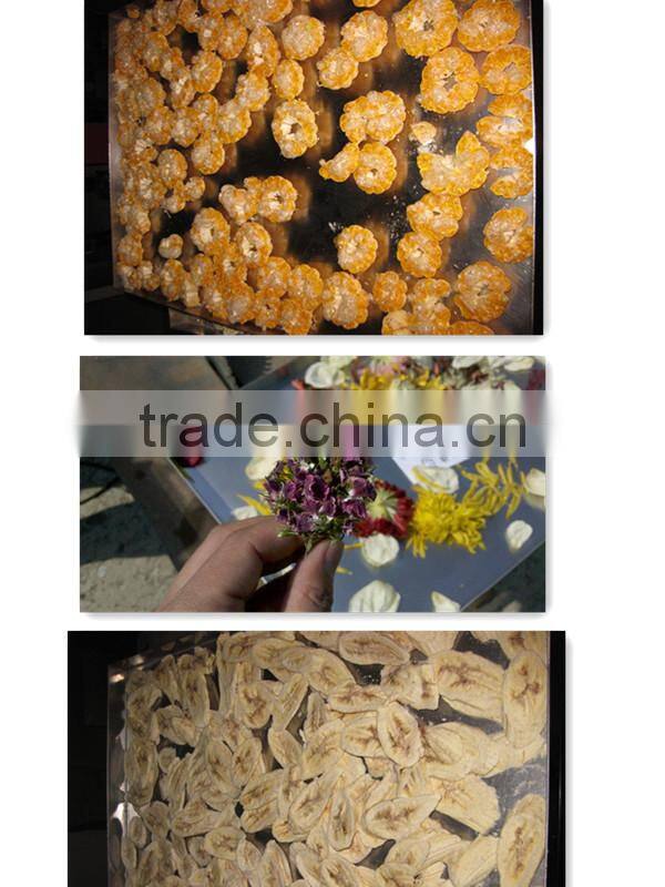 2017 Electric Heating New Vacuum Freeze Dryer