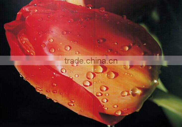 Horse Home Wall Decoration Oil Painting