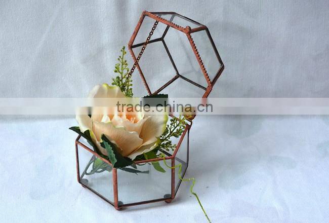 Indoor decoration clear glass plant terrarium hanging terrarium geometric