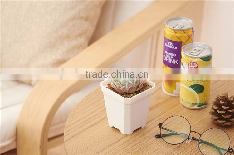 More Thickness Plastic Starting Seeding Flower Pot