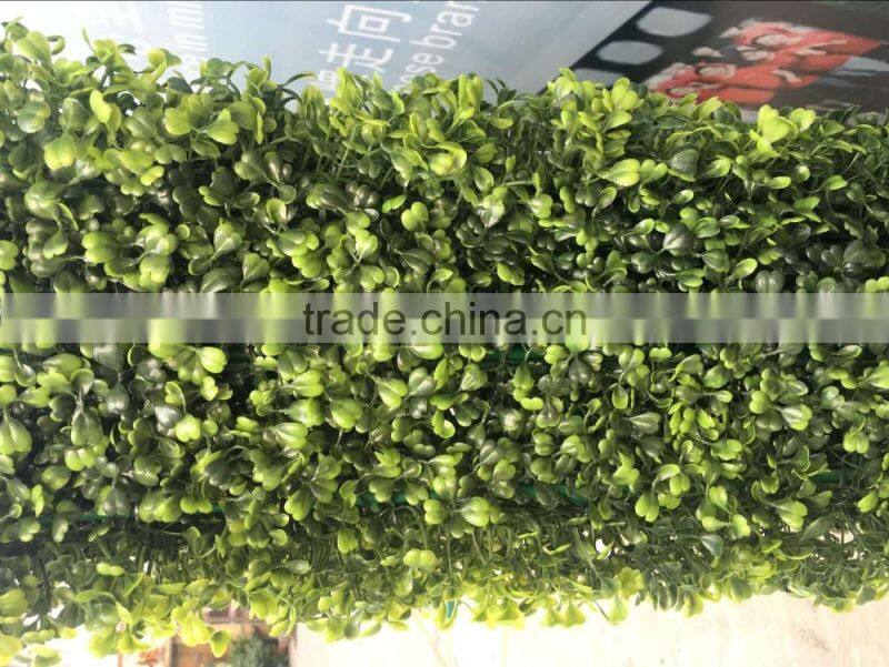 artificial boxwood hedge for sale
