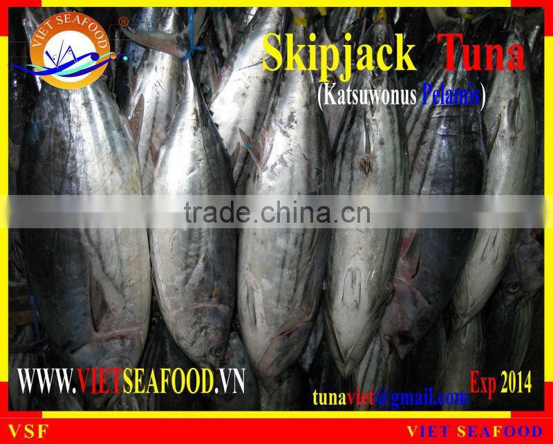 FROZEN W/R SKIPJACK TUNA