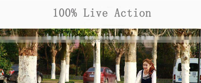 12" mini lightweight folding bike (U-bike 1.0)