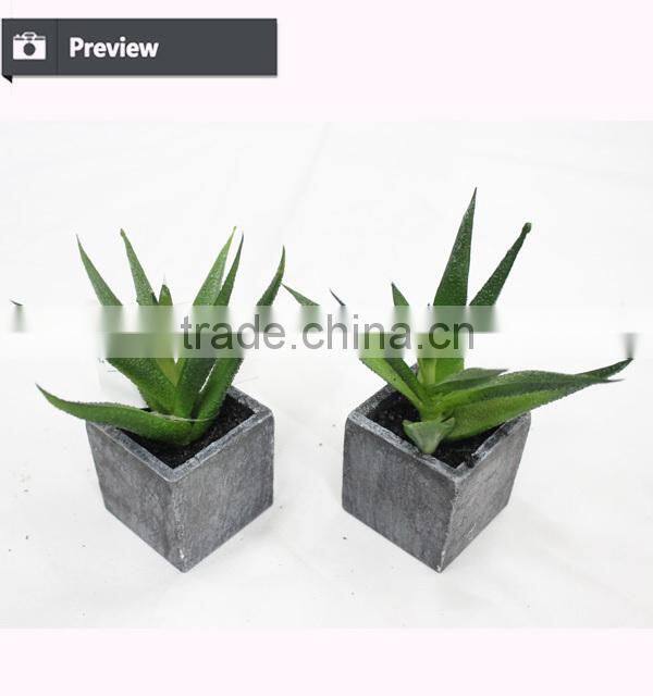 Chinese factory Artificial mini aloe plant fake mini succulent potted