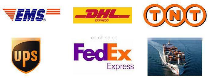 wholesale one piece plus size lady bodystocking