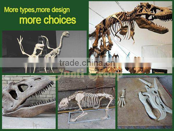 Lisaurus-R Dinosaur artificial skull