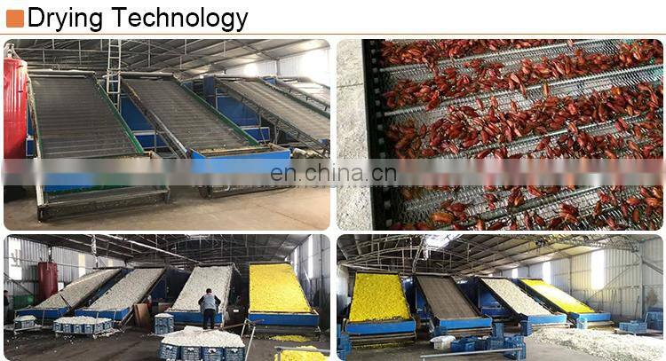 Automatic papaya drying fish machine fruit dehydrator in Ghana