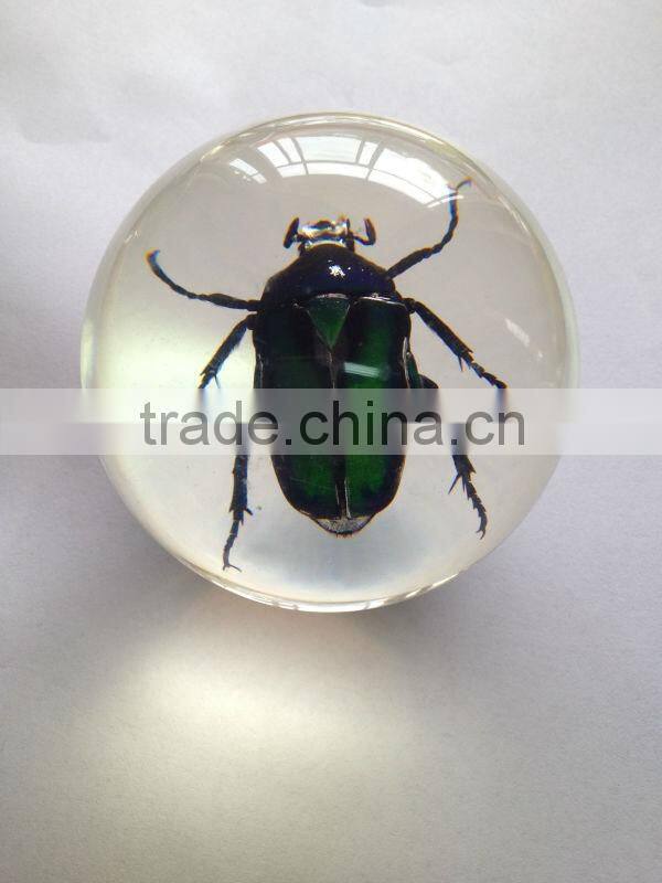 New design acrylic half ball with real ember embedded for promotional gift