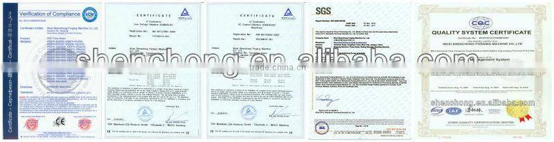 WC67Y estun E10 digital readout hydraulic press brake