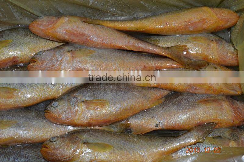 Hot sale yellow croaker gift box package