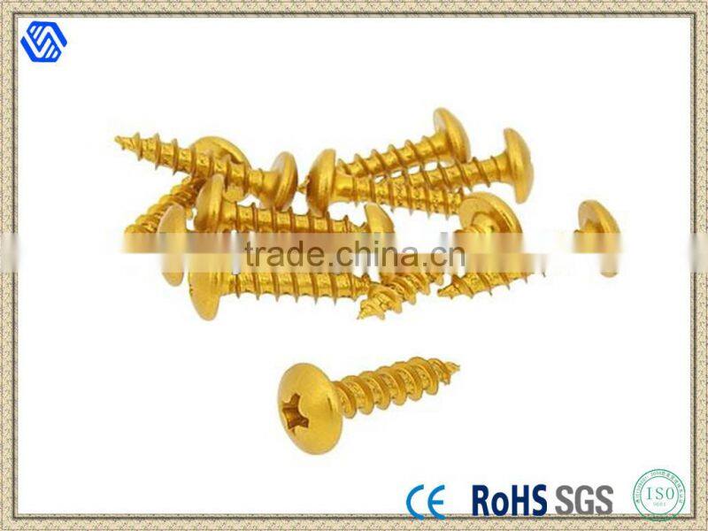 Screw Set Panel Gold 5x20 Pan Head Philips Self tapping Screw
