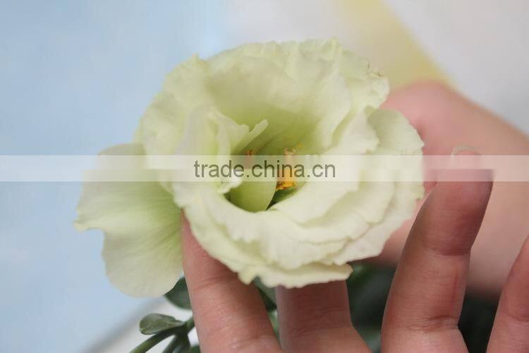 Alibaba china factory direct lisianthus flower