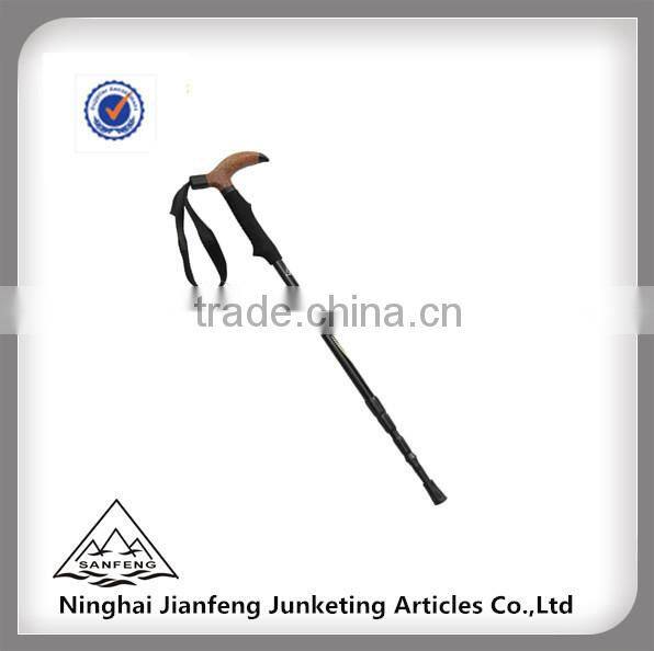 Leki Wanderfreund Antichock Trekking Pole-1 Pole