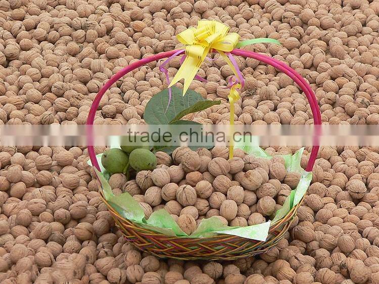 walnut without shell/ walnut meat/ walnut kernel