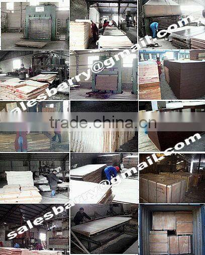 tego film plywood